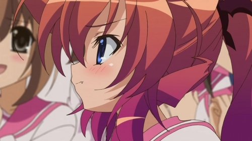 A Dark Rabbit has Seven Lives